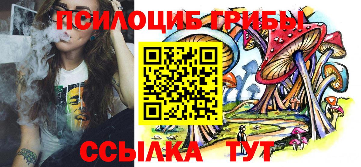 Галлюциногенные грибы GOLDEN TEACHER Знаменск