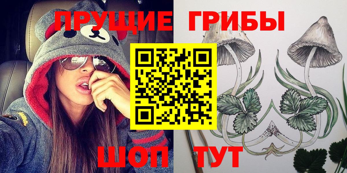 Знаменск  Псилоцибиновые грибы GOLDEN TEACHER  Вход с VPN  цены наркотик  Псилоцибиновые грибы MAGIC MUSHROOMS 